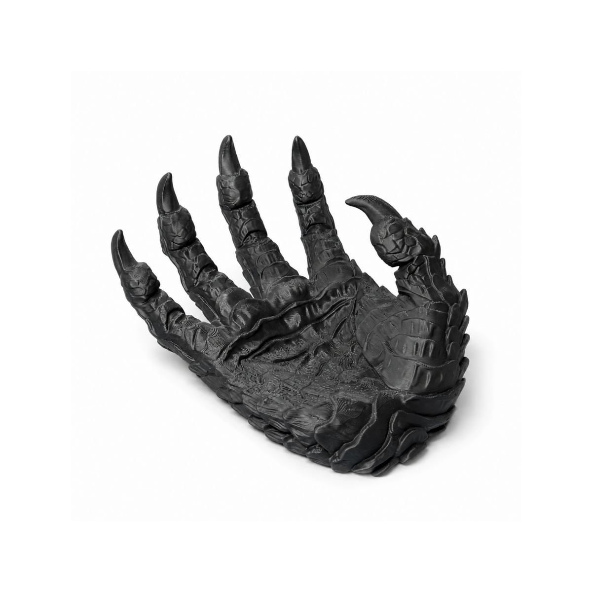 Dragon Claw Tray promotional product image, angled view